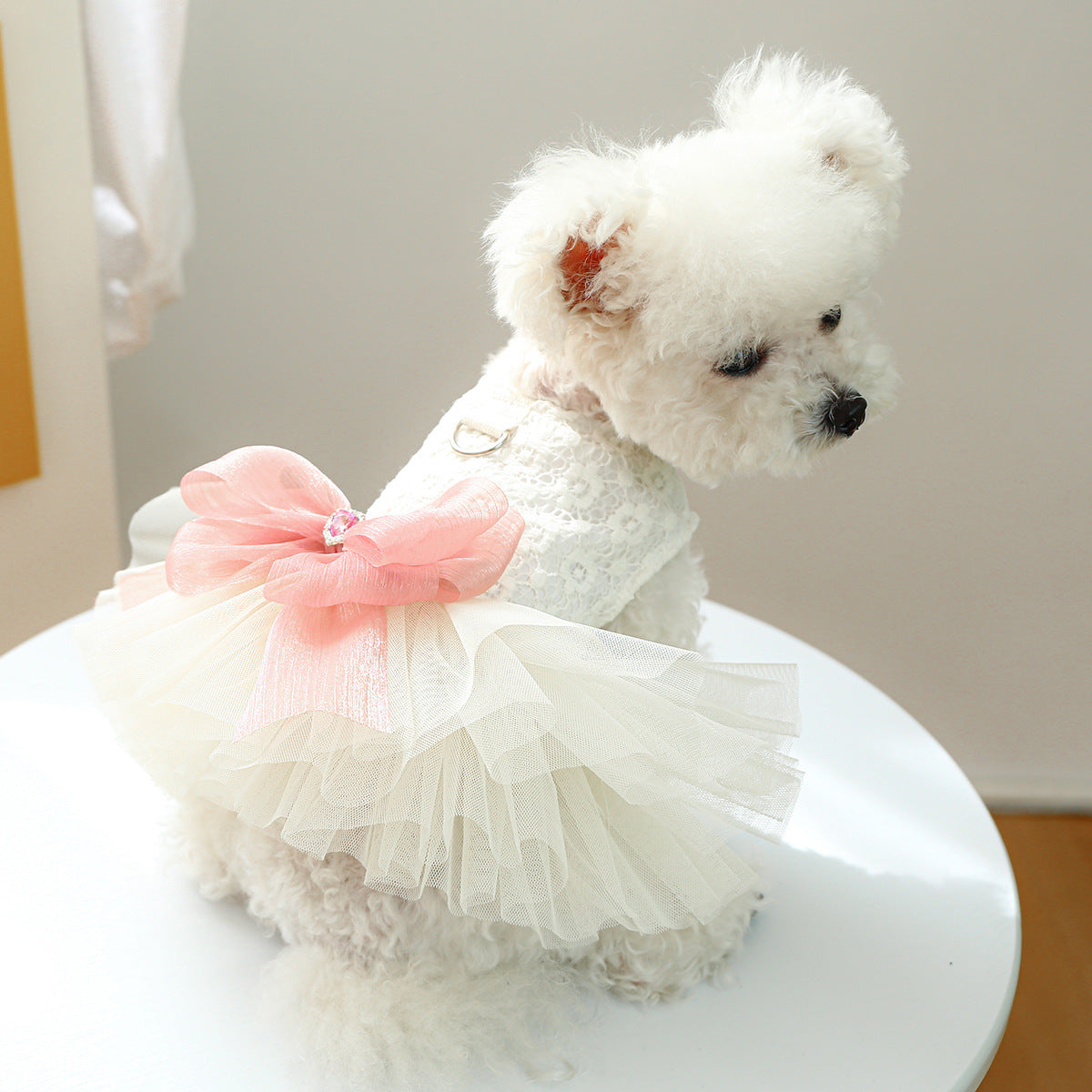 D館【3303187635】蓬蓬紗裙胸背蕾絲禮服裙微微婚紗