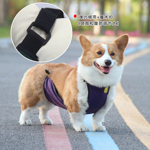 【CK20240609002】寵物雨衣護肚子大型犬雨衣