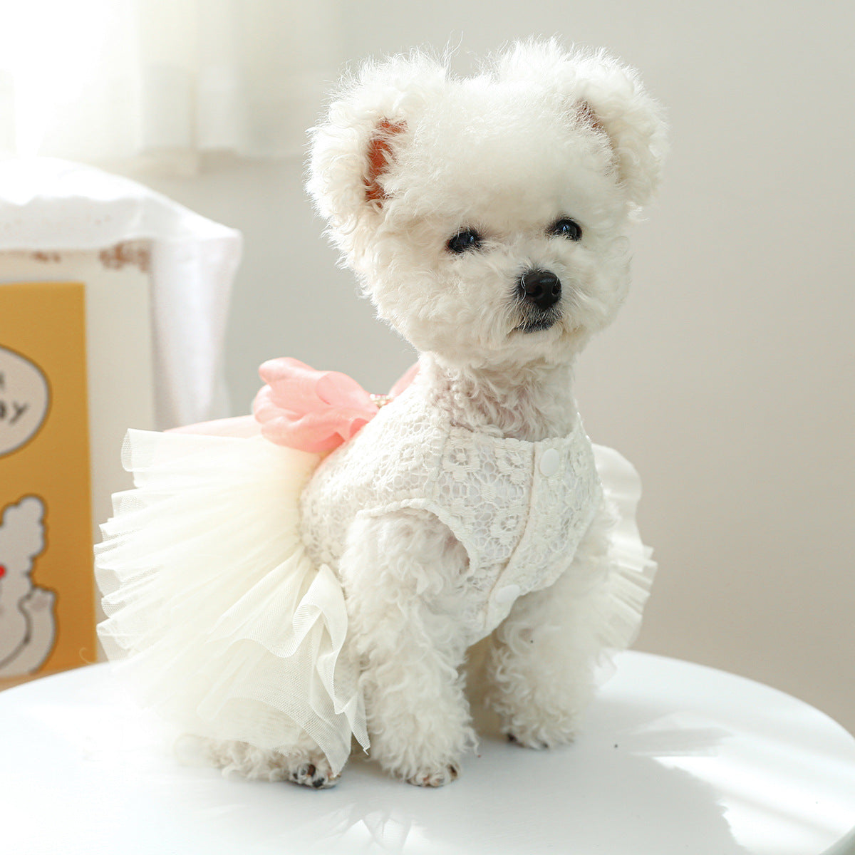 D館【3303187635】蓬蓬紗裙胸背蕾絲禮服裙微微婚紗