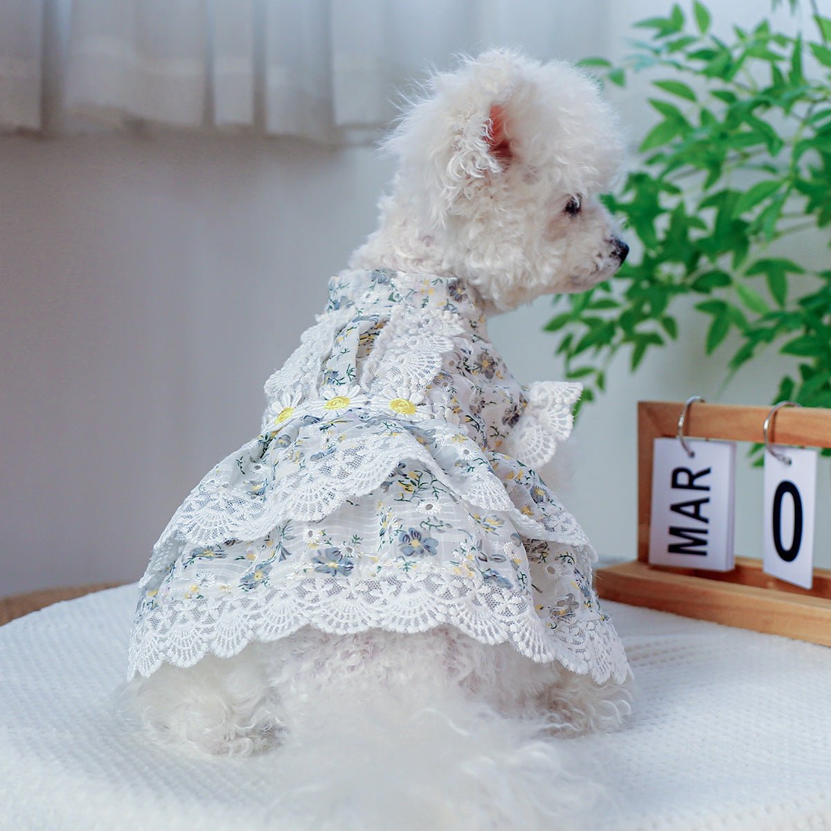 D館【330318770】透氣舒適透明碎花裙蕾絲花邊裙