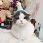D館【XHUU20230501007】ins風新款寵物狗狗貓咪生日帽子可愛霜淇淋針織毛線帽子變身裝