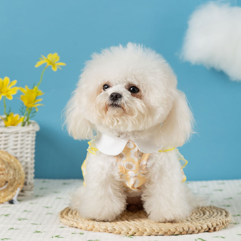 【2504SXKN0366-MP】新款寵物蕾絲連衣裙中小型犬春夏季透衣服