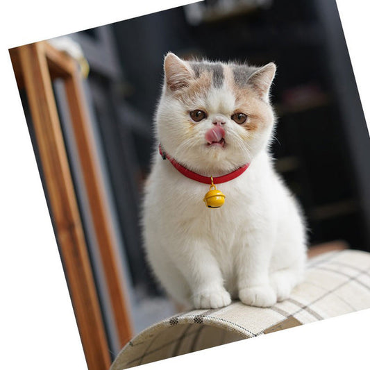 B館【CJY-024】一件代發寵物項圈卡通哆啦a夢鈴鐺耐咬裝飾品可愛貓狗用品可調節