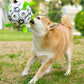 A館【XPG2204CGLY4360-GP】狗狗訓練互動足球玩具邊牧柯基橡膠球類磨牙耐咬小大型犬寵物用品